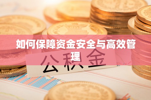 岚皋如何保障资金安全与高效管理
