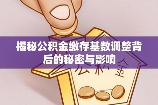 岚皋揭秘公积金缴存基数调整背后的秘密与影响