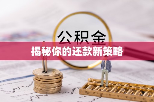 岚皋揭秘你的还款新策略