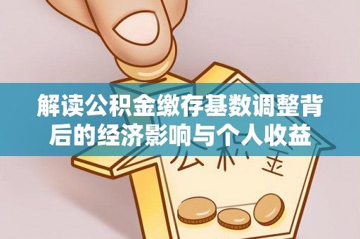 岚皋解读公积金缴存基数调整背后的经济影响与个人收益