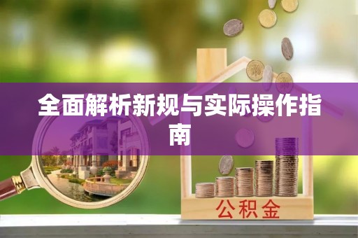 岚皋全面解析新规与实际操作指南