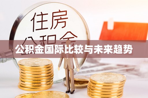 岚皋公积金国际比较与未来趋势