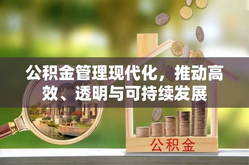 岚皋公积金管理现代化，推动高效、透明与可持续发展