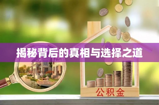岚皋揭秘背后的真相与选择之道