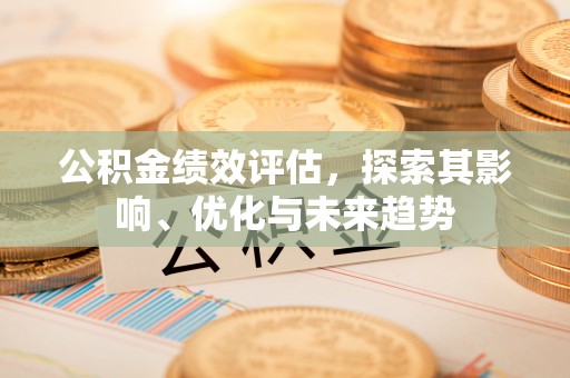 岚皋公积金绩效评估，探索其影响、优化与未来趋势