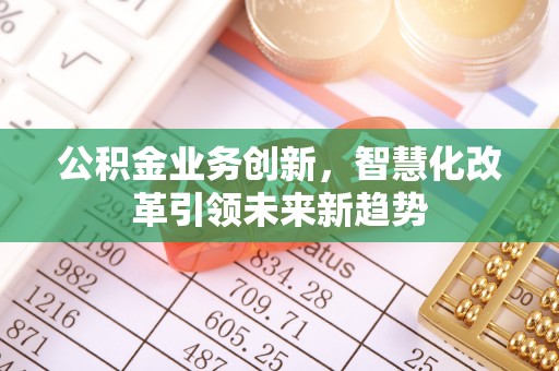 岚皋公积金业务创新，智慧化改革引领未来新趋势