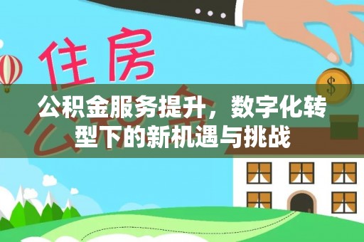 岚皋公积金服务提升，数字化转型下的新机遇与挑战