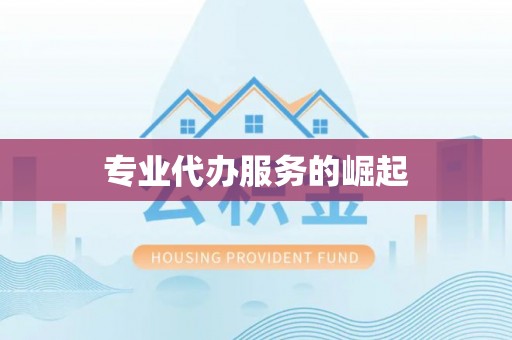 岚皋专业代办服务的崛起