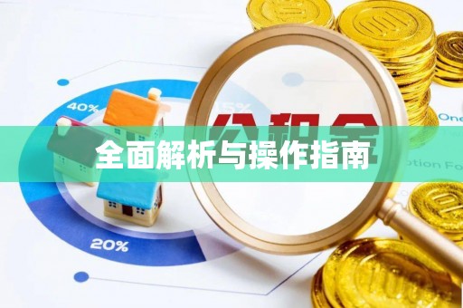 岚皋全面解析与操作指南