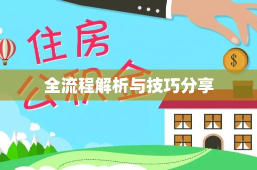 岚皋全流程解析与技巧分享