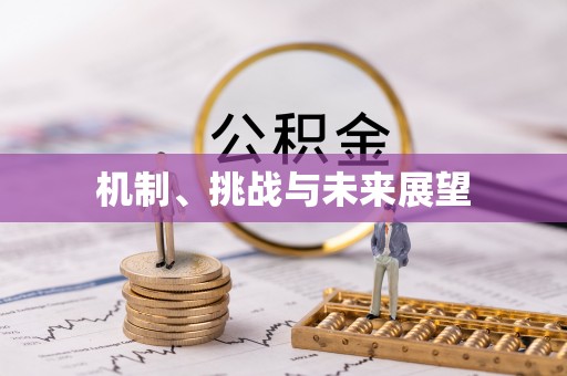 岚皋机制、挑战与未来展望